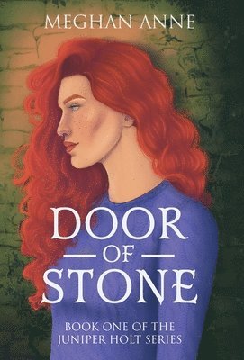 bokomslag Door of Stone