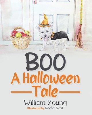 bokomslag Boo