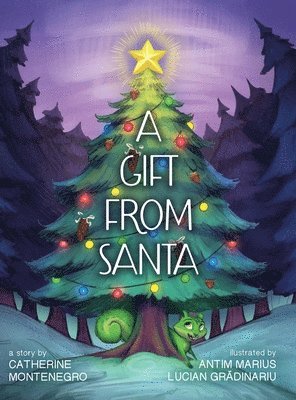 Gift from Santa