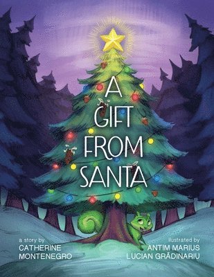 Gift from Santa
