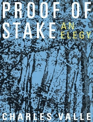 Charles Valle - Proof of Stake: An Elegy, Häftad