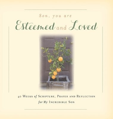 Son, You are Esteemed and Loved