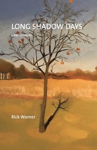 bokomslag Long Shadow Days