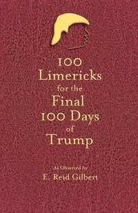bokomslag 100 Limericks for the 100 Final Days of Trump