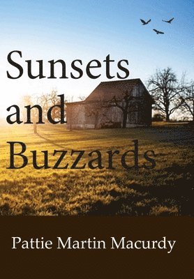 Sunsets and Buzzards 1