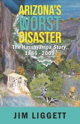 bokomslag Arizona's Worst Disaster