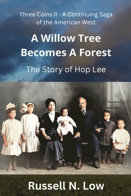 Willow Tree Becomes a Forest