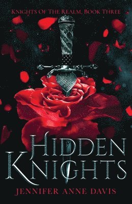 bokomslag Hidden Knights