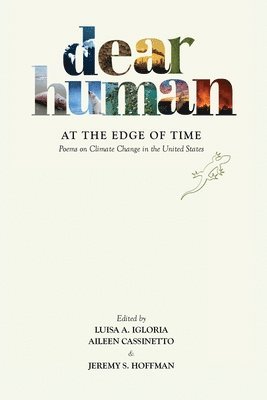Dear Human at the Edge of Time 1