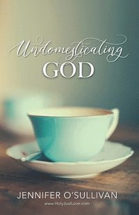 bokomslag Undomesticating God