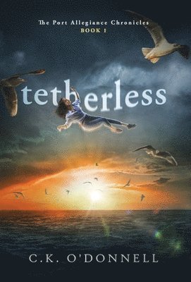 bokomslag Tetherless