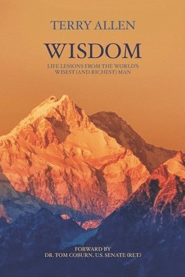 Terry Allen - Wisdom: Life Lessons from the World's Wisest (and Richest) Man, Häftad