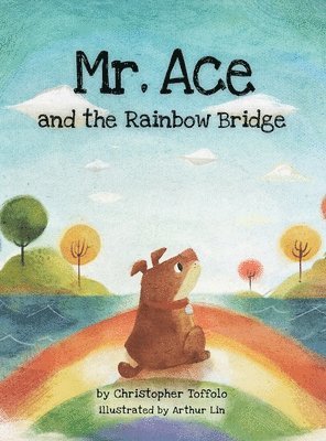 bokomslag Mr. Ace and the Rainbow Bridge