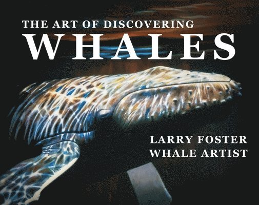 The Art of Discovering Whales 1