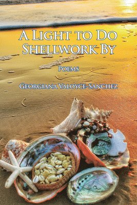 bokomslag A Light to Do Shellwork By