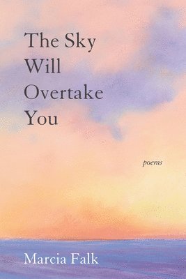 The Sky Will Overtake You: Poems 1