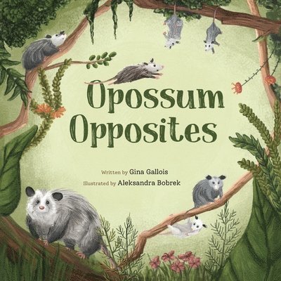 Opossum Opposites 1