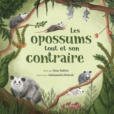 bokomslag Les opossums