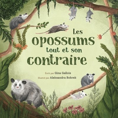 Les opossums 1