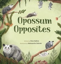 bokomslag Opossum Opposites
