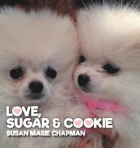 bokomslag Love Sugar & Cookie