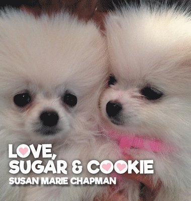 bokomslag Love Sugar & Cookie