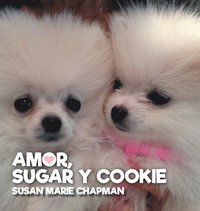 bokomslag Amor, Sugar y Cookie