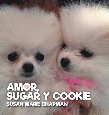 bokomslag Amor, Sugar y Cookie