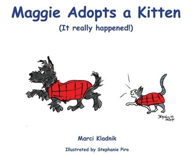 bokomslag Maggie Adopts a Kitten