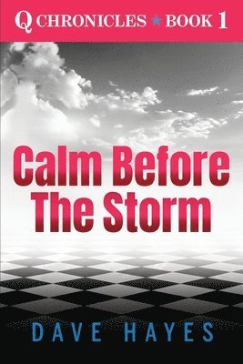 bokomslag Calm Before The Storm
