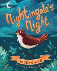bokomslag Nightingale's Night