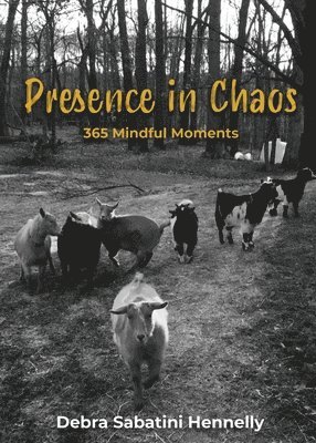 bokomslag Presence in Chaos: 365 Mindful Moments