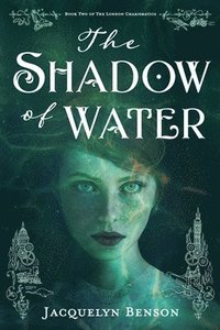 bokomslag The Shadow of Water