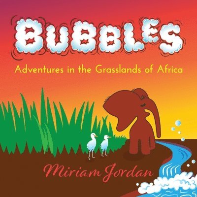 Miriam Jordan - BUBBLES Adventures in the Grasslands of Africa, Häftad