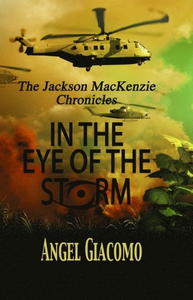 bokomslag The Jackson MacKenzie Chronicles