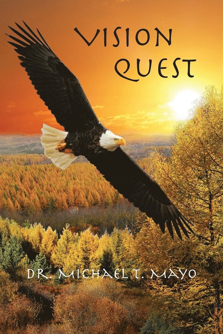 Michael T Mayo, Michael T. Mayo - Vision Quest, Häftad