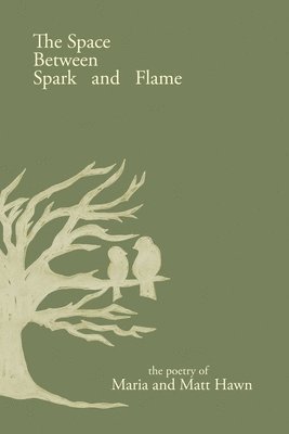 The Space Between Spark and Flame 1