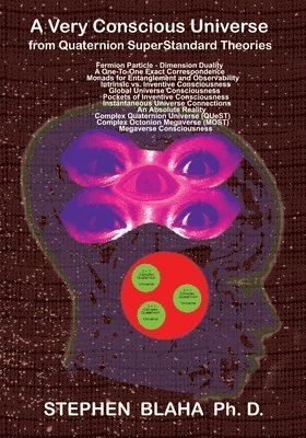 Stephen Blaha - Very Conscious Universe from Quaternion SuperStandard Theories, Häftad