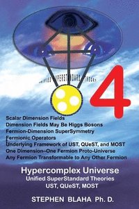 bokomslag Hypercomplex Universe