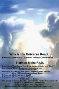 bokomslag Why is the Universe Real? From Quaternion & Octonion to Real Coordinates