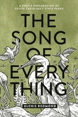 bokomslag Song of Everything
