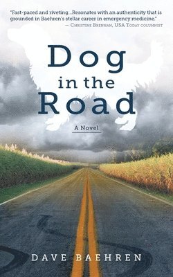 Dog in the Road 1