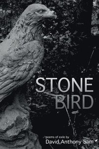 bokomslag Stone Bird