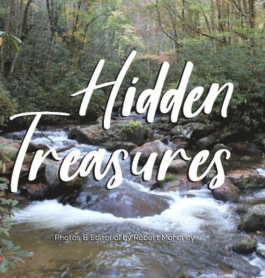 Hidden Treasures 1