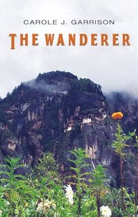 bokomslag The Wanderer