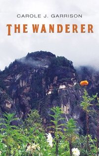 bokomslag Wanderer