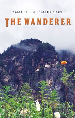 bokomslag Wanderer