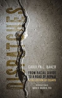 bokomslag Dispatches, From Racial Divide to the Road of Re  A Collection of Essays