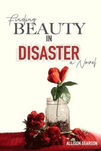 bokomslag Finding Beauty in Disaster