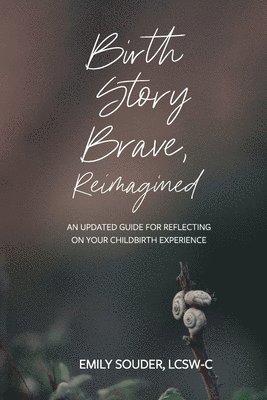 bokomslag Birth Story Brave, Reimagined
